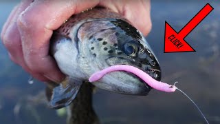 How To Fish Plastic PINK WORMS To Catch Trout EASY amp EFFECTIVE [upl. by Bickart]