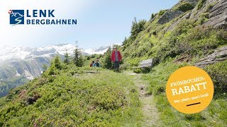 Wandern inmitten der Bergblumen an der Lenk [upl. by Sucrad337]