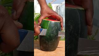 Amazing Watermelon Cutting Skills shorts [upl. by Chin]