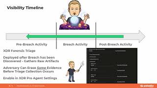 Cortex XDR Value Bites VIdeo Agent Visibility [upl. by Meta]