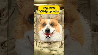 Doglover VS Mysophobia😶 couple dog petlover shorts [upl. by Ivets]