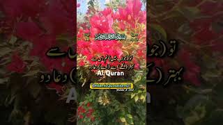 Surah Al Nisa Ayat 86quran shorts qurantranslationurdu viralshort [upl. by Buyer]