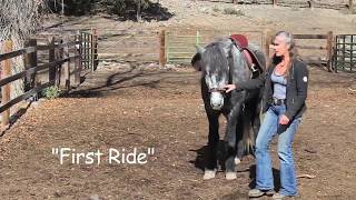 Icelandic Horses at Hestar Ranch  Training Part 2 [upl. by Aurie741]