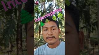 Best Intercropping  horticulture agriculture farming [upl. by Ttayh169]