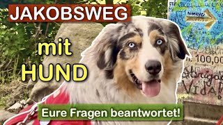 Pilgern mit HUND 🐶 Serie ➡ Was man wissen muss  100 Fragen zum Camino [upl. by Cassie]