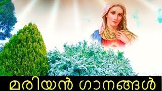 Rakthakannerozhukki  Mariyan Song Malayalam  Sujatha  Joji Johns  BrAnil Malappuram [upl. by Kalie]