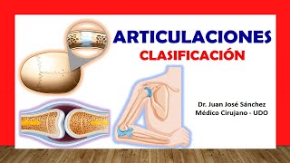 🥇 ARTICULACIONES Clasificación Fácil Rápida y Sencilla [upl. by Lamak]