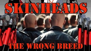 SKINHEADS THE WRONG BREED NO ONE LIKES US [upl. by Melar382]