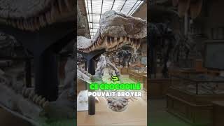 Deinosuchus… Le géant crocodile préhistorique animaux monster deinosuchus crocodile faith [upl. by Podvin]