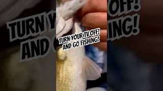 Testing CRANK BaitsRods and Reels Bass Fishing kendricklamar tvoff strikeking tightlines [upl. by Knox986]