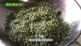 The process of making Sencha✿JAPANESE HOME COOKING✪How to Japan TV [upl. by Eatnahs]