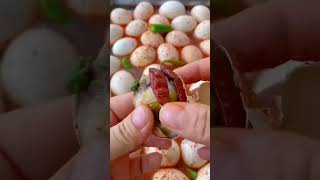 Fertilized egg amazingfacts food [upl. by Corrinne]