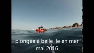 plongèe Belle Ile en Mer mai 2016 [upl. by Teiluj]