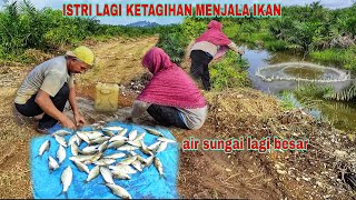 MENJALA IKAN SAAT AIR SUNGAI LAGI BESAR [upl. by Hakeem109]