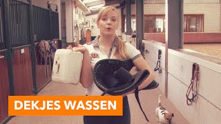 Beenbeschermers en dekjes wassen  PaardenpraatTV [upl. by Weldon635]