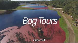 Cranberry Harvest Bog Tours are open for 2023 cc [upl. by Novej]