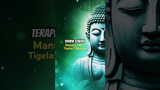 Terapia do Som Tigela Tibetana  Mantra OM para Aliviar todo o Stress  Infinite Potential shorts [upl. by Zelde]