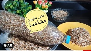 طريقة عمل الحلبة المنبتة تنبيت استنبات الحلبة فوايدها واضرارها [upl. by Anah]