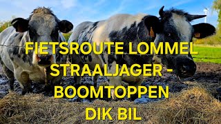 Fietsen door boomtoppen Lommel Begraafplaats Dikbil koeien Straaljager en meer 4K [upl. by Rochus97]