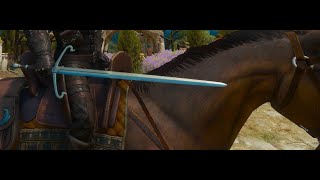 Toussaint Ducal Guardsmans steel sword diagram location Witcher 3 [upl. by Pliske565]