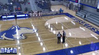 Owatonna High School vs Farmington JV Womens Varsity Basketball [upl. by Ochs843]