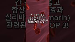 간 건강에 좋고 항산화항염 효과까지 있는 실리마린Silymarin과 관련된 허브 TOP 3 [upl. by Iem835]