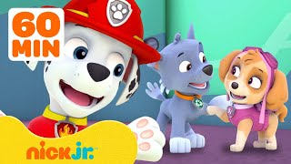 PAW Patrol Friendship Adventures amp Rescues w Marshall and Skye  1 Hour Compilation  Nick Jr [upl. by Arrac]