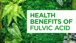 Fulvic Acid Explained Why Our Bodies Need Natural Compounds [upl. by Nosirrag]