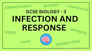 AQA GCSE Biology in 10 Minutes  Topic 3  Infection and Response [upl. by Minette436]