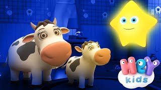 Stella Stellina ⭐ Canzoni Per Bambini  HeyKids Italiano [upl. by Akemet]