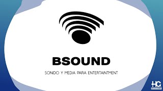 HC Soluciones y BSound Riesgos en Eventos Masivos [upl. by Nylzzaj]