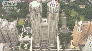 都知事選 あす投開票 「若者・子育て世代支援」政策は2024年7月6日 [upl. by Notsnhoj]