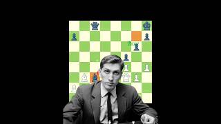 Bobby Fischer Brilliancy  4  ✨🤫 [upl. by Irrot]