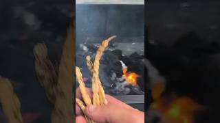 Adding Honey Mesquite Seed Pods to your fire openfirecooking mesquite southtexas vaquero grill [upl. by Kile]