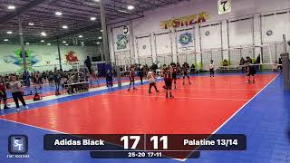 Adidas Black 20232024 vs Palatine 1314 Teal [upl. by Trill232]