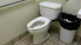 Kohler pressure assisted toilet [upl. by Grantham768]