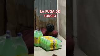 FURCIO SE FUGA 😂 shorts youtubeshorts funnyshorts funnyvideos [upl. by Quiteris]