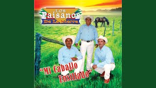 Agarrón Norteño Vol 2  Con Dinero Baila El Perro Audio [upl. by Hamfurd393]