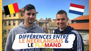 Quelles sont les différences entre le flamand et le néerlandais des PaysBas  Le flamand  🇳🇱🇧🇪 [upl. by Haliak792]