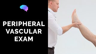 Peripheral Vascular Examination  OSCE Guide Latest  UKMLA  CPSA [upl. by Rufina]