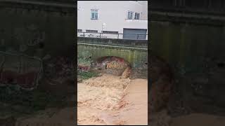 La riera del Palau de Terrassa ben plena daigua [upl. by Ettelimay]