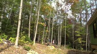 Clearing overhanging trees and brush from back of cottage [upl. by Ydnirb]