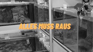 ALLES MUSS RAUS [upl. by Nnyled]