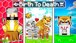 The BIRTH to DEATH of a Minecraft Tiger 😱 Hindi [upl. by Eah]