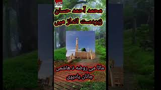 Pashto Beautiful Naat Da Hashimi Janan Roza  Pashto New Naat [upl. by Halla]