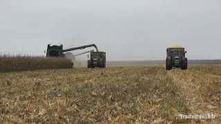 Big Corn Harvest  John Deere 9880i STS amp New Holland CR9080 [upl. by Flossi441]