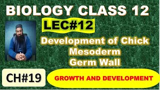 Development of chick I Mesoderm I Chapter 19 I Growth and Development I Lec 12 [upl. by Perl]