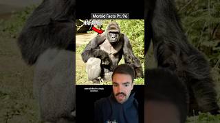 Harambe’s ENTIRE family died horribly too morbidfacts shorts [upl. by Salter]