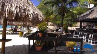 Amsterdam Manor Beach Resort Aruba  Eagle Beach [upl. by Brottman279]