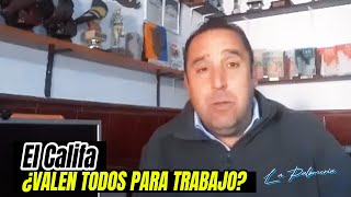 PALOMOS DE TRABAJO  Valen Todos 🤔❓❗ [upl. by Akla]